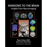 Windows to the Brain Insights From Neuroimaging