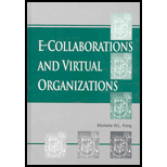 E Collaborations and Virtual Organizations