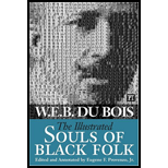 Illustrated Souls of Black Folk