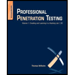 Professional Penetration Testing