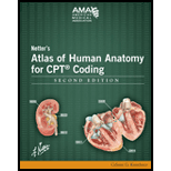 Netters Atlas of Human Anatomy for CPT Coding