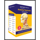 Anatomy Flashcards