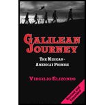 Galilean Journey: The Mexican-American Promise - Virgilio P. Elizondo