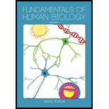 Fundamentals of Human Biology