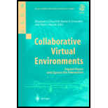 Collaborative Virtual Environments