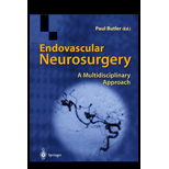 Endovascular Neurosurgery