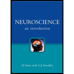 Neuroscience  Introduction