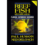 Reef Fish Ident.  Florida, Carribean