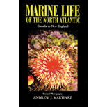 Marine Life of the North Atlantic