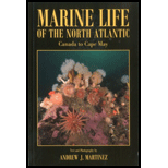 Marine Life of the North Atlantic