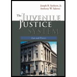 Juvenile Justice System / With CD