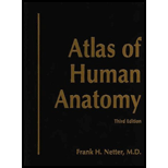 Atlas of Human Anatomy   With CD