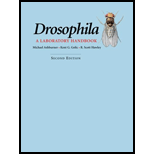 Drosophila Laboratory Handbook