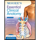 Moores Essentials Clinical Anatomy 7TH 24 Edition, by Anne MR Agur - ISBN 9781975174248