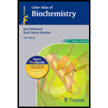 Color Atlas of Biochemistry