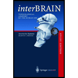 Interbrain Topographical Anatomy and 