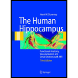 Human Hippocampus Functional Anatomy, Vascularization and Serial Sections with MRI