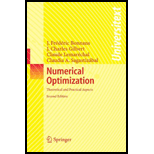 Numerical Optimization