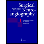 Surgical Neuroangiography Volume 4