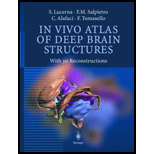 In Vivo Atlas of Deep Brain Structures