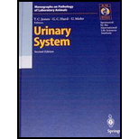 Urinary System