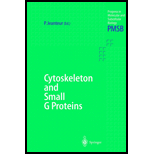 Cytoskeleton and Small G Proteins