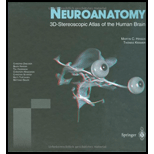 Neuroanatomy 3D Stereoscopic Atlas of