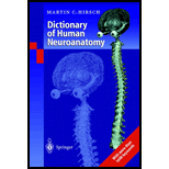 Dictionary of Human Neuroanatomy