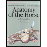 Anatomy of the Horse  Illustrated Text