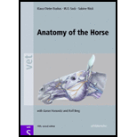 Anatomy of the Horse Illustrated Text