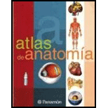 Atlas Basico De Anatomia