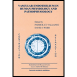 Vascular Endothelium in Human Psysio