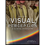 Visual Perception