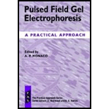 Pulsed Field Gel Electrophoresis