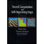 Neural Computation and Self Organizing Maps