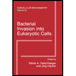 Bacterial Invasion Into Eukaryotic Cell