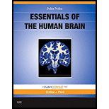 Essentials of Human Brain