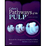 Pathways of the Pulp