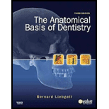 Anatomical Basis of Dentistry