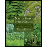 Native Ferns, Moss, and Grasses