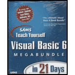 Teach Yourself Visual BASIC 6 Megabundle