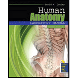 Human Anatomy Lab. Guide