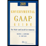 Governmental GAAP Guide 2009