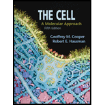 Cell Molecular Approach