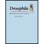 Drosophila Laboratory Handbook