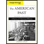 American Past, Volume II Since 1865