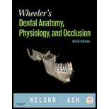 Wheelers Dental Anatomy, Physiology and Occlusion   With DVD