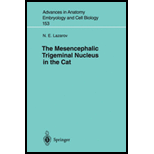 Mesencephalic Trigeminal Nucleus in Cat