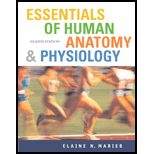 essentials of human anatomy and physiology elaine marieb