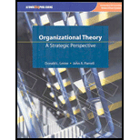 Organizational Theory (Custom)